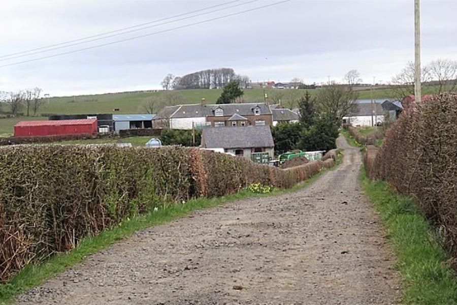 Leave voters urge Boris Johnson to protect British farmers from cheap food imports in post-Brexit trade deals