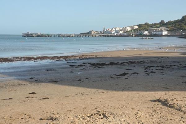 “Brexit Did This” Beach Destroyed With Sewage